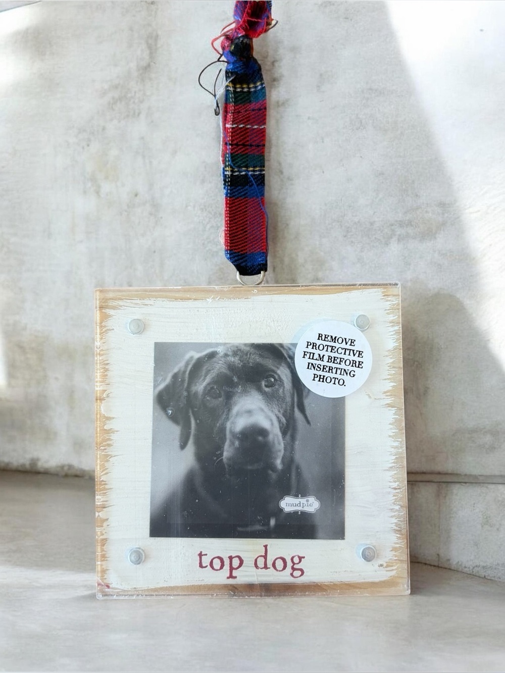 Mud Pie 'Top Dog" Wood Acrylic Frame/Ornament
